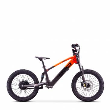 DRAISIENNE ELECTRIQUE SEDNA...