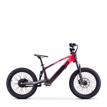 DRAISIENNE ELECTRIQUE SEDNA...