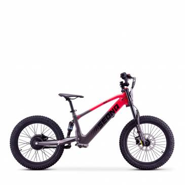 DRAISIENNE ELECTRIQUE SEDNA...